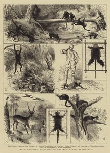 Inde, excursion de chasse au Malabar, présidence de Madras - Alfred W. Cooper
